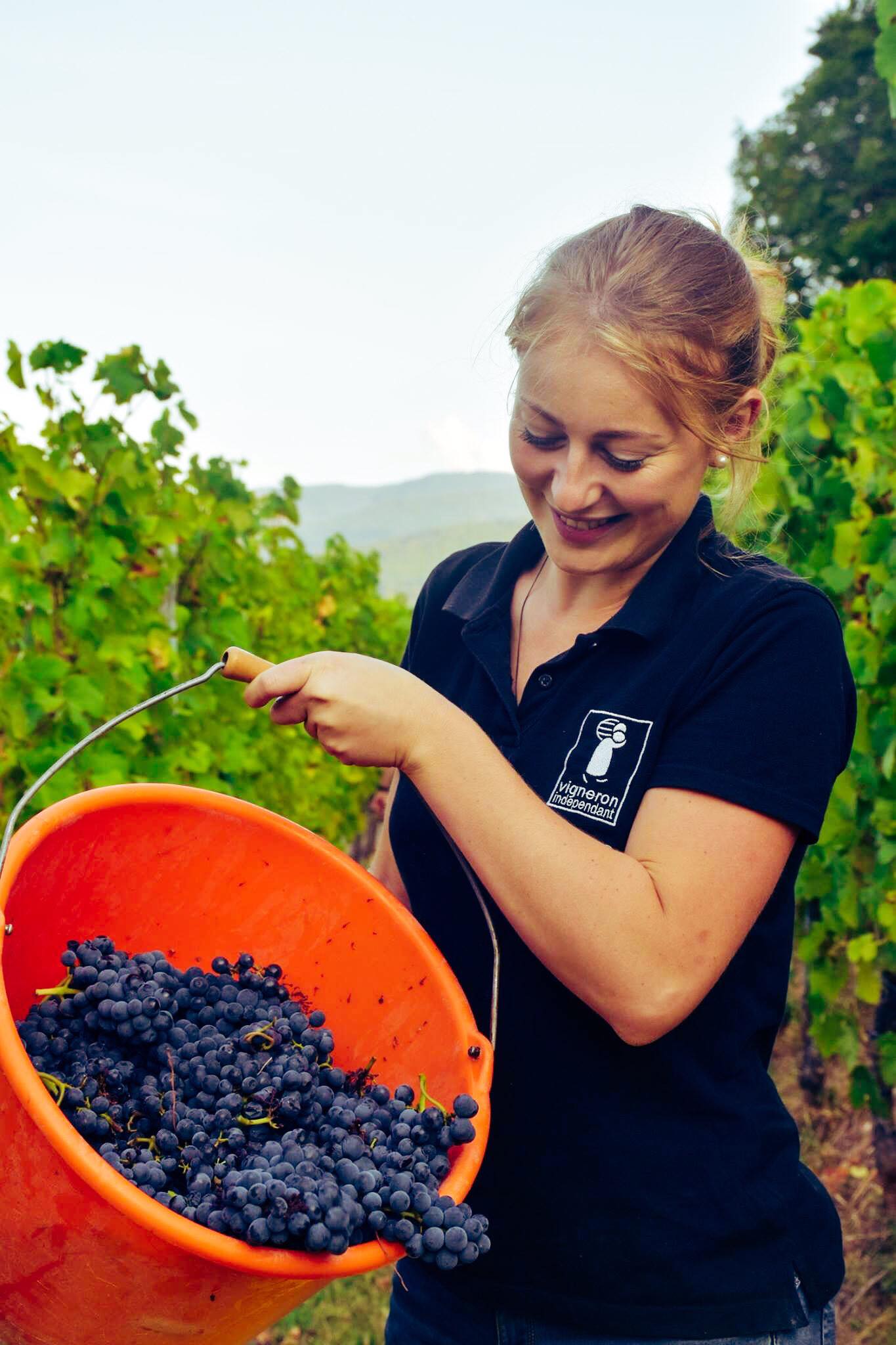 Arbeit im Weinberg der Domaine Loberger Vignerons Independant