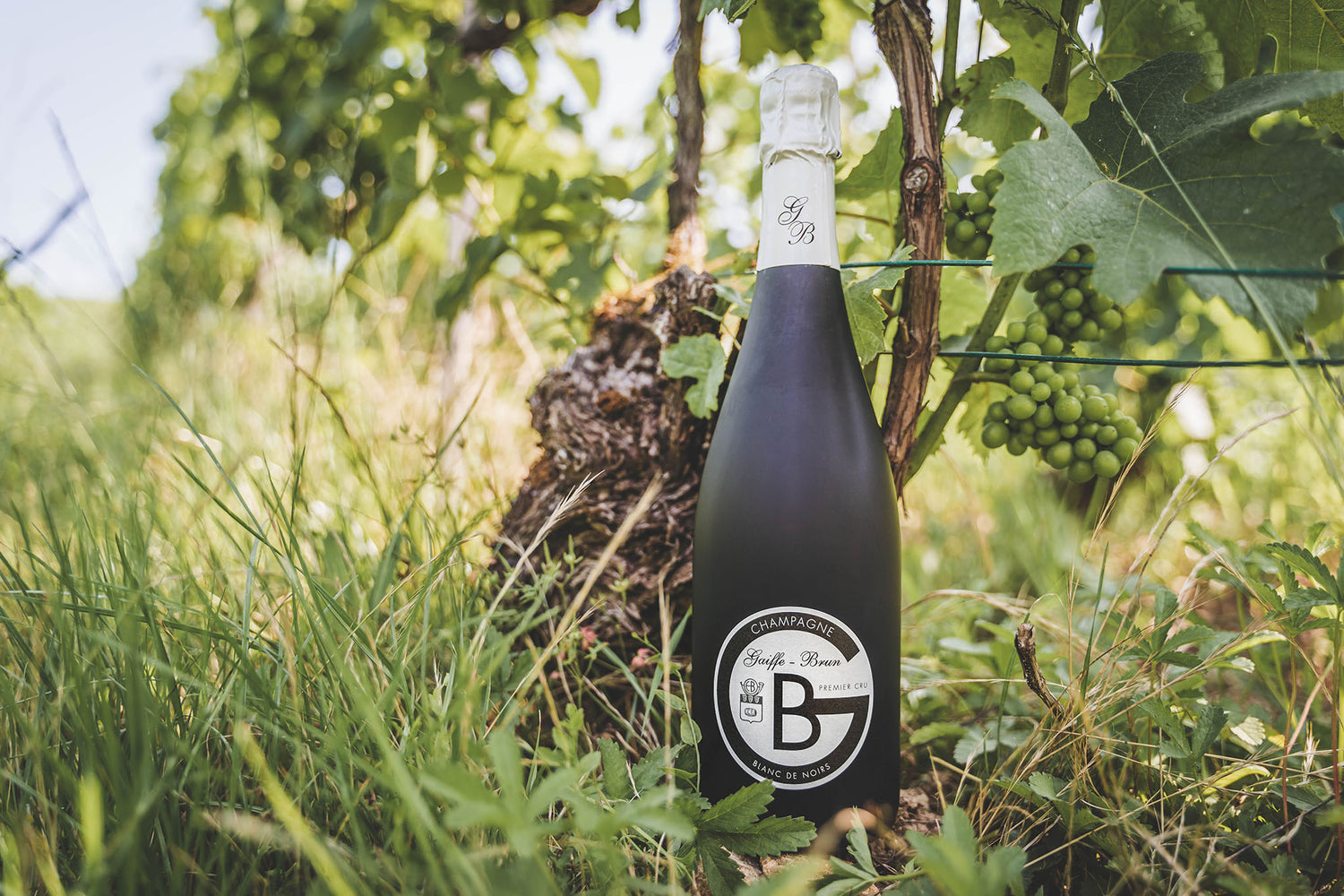 Flasche Champagner Gaiffe-Brun Blanc de Noirs