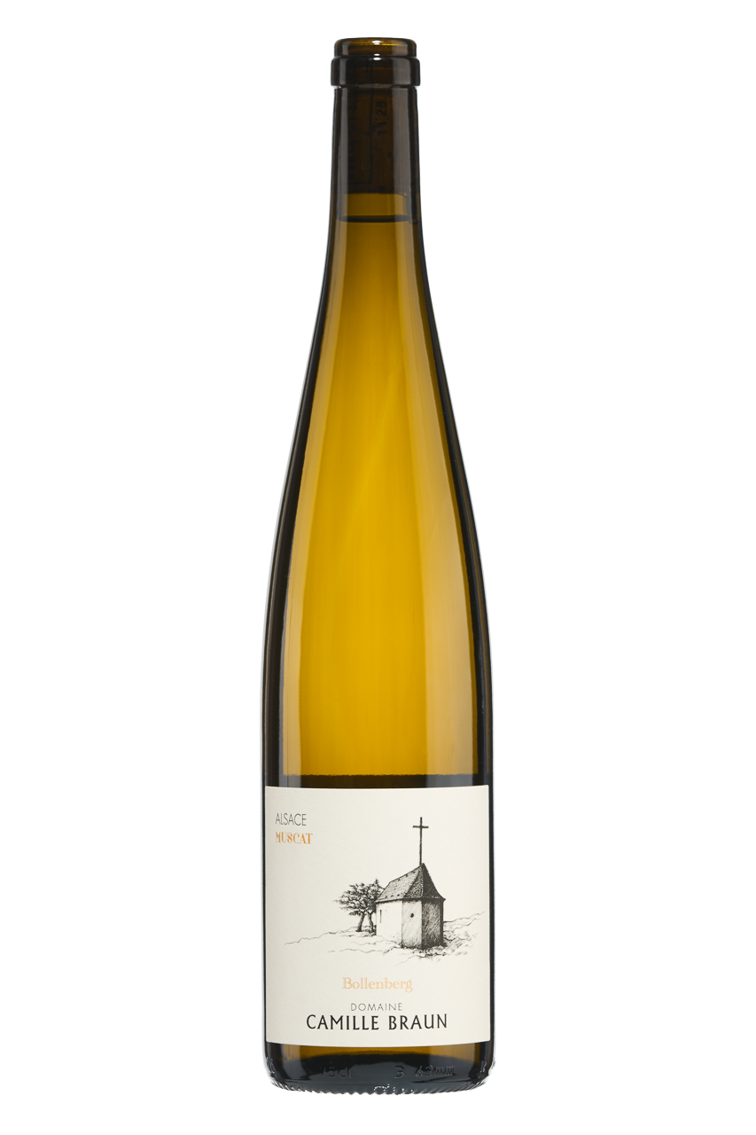 Muscat Bollenberg 2023