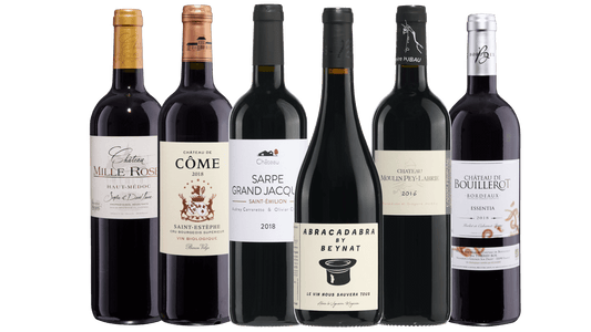 Bordeaux Paket mit 6 Flaschen Bio Rotwein aus dem Bordeaux