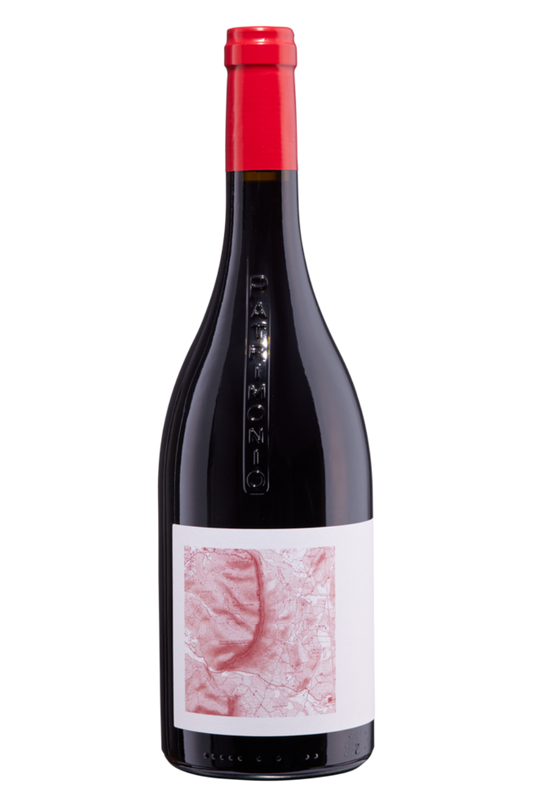 Flasche Mit Rotwein und rotem kunstvollen Etikett